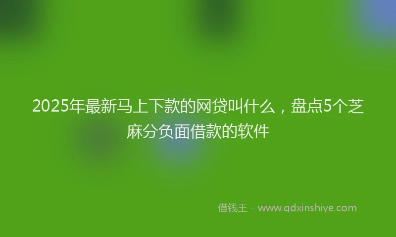 2025年最新马上下款的网贷叫什么，盘点5个芝麻分负面借款的软件