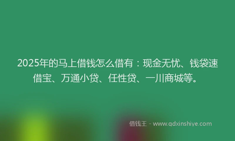 2025年的马上借钱怎么借有：现金无忧、钱袋速借宝、万通小贷、任性贷、一川商城等。