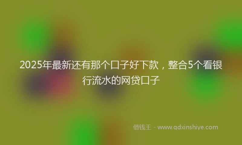 2025年最新还有那个口子好下款，整合5个看银行流水的网贷口子
