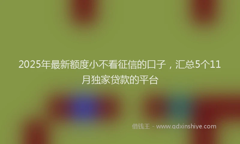 2025年最新额度小不看征信的口子，汇总5个11月独家贷款的平台