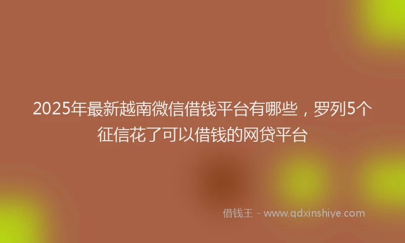 2025年最新越南微信借钱平台有哪些，罗列5个征信花了可以借钱的网贷平台