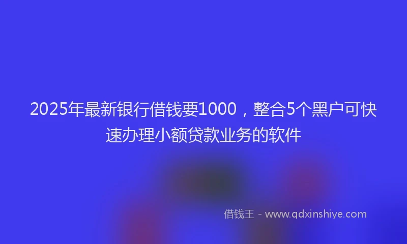 2025年最新银行借钱要1000，整合5个黑户可快速办理小额贷款业务的软件