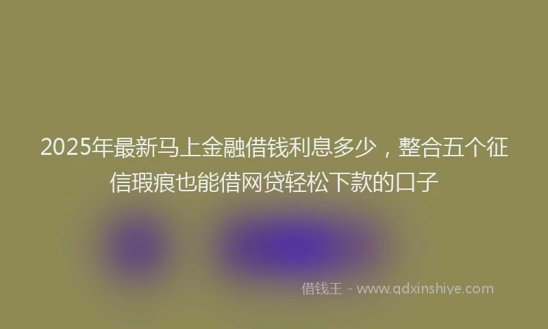 2025年最新马上金融借钱利息多少，整合五个征信瑕疵也能借网贷轻松下款的口子