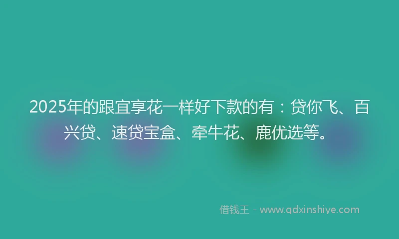 2025年的跟宜享花一样好下款的有：贷你飞、百兴贷、速贷宝盒、牵牛花、鹿优选等。