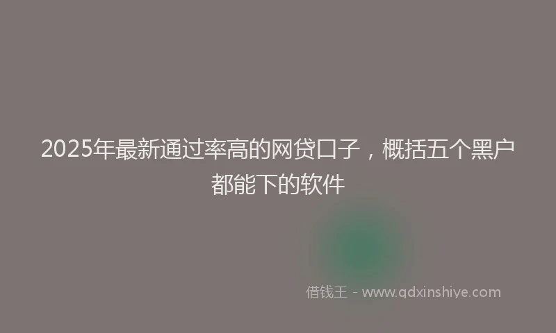2025年最新通过率高的网贷口子，概括五个黑户都能下的软件