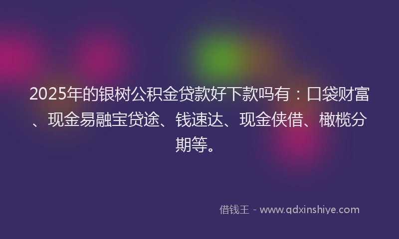 2025年的银树公积金贷款好下款吗有：口袋财富、现金易融宝贷途、钱速达、现金侠借、橄榄分期等。