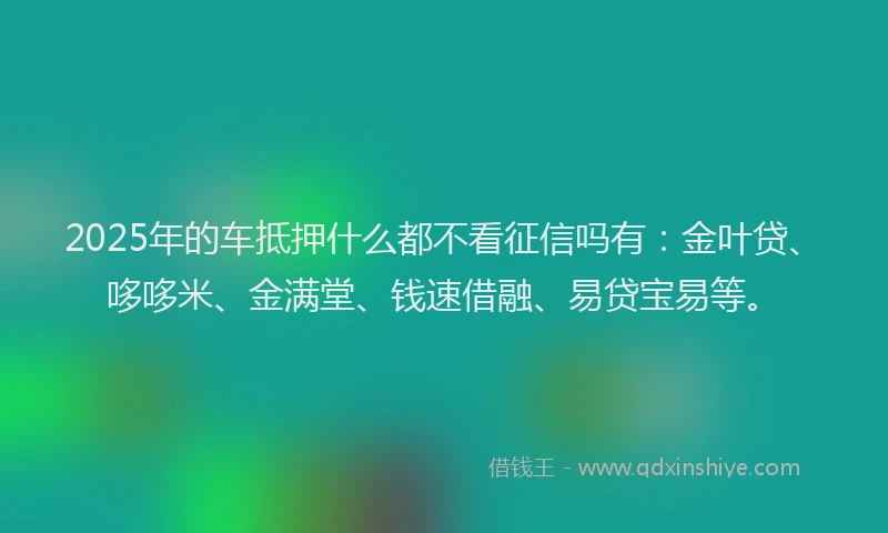 2025年的车抵押什么都不看征信吗有：金叶贷、哆哆米、金满堂、钱速借融、易贷宝易等。