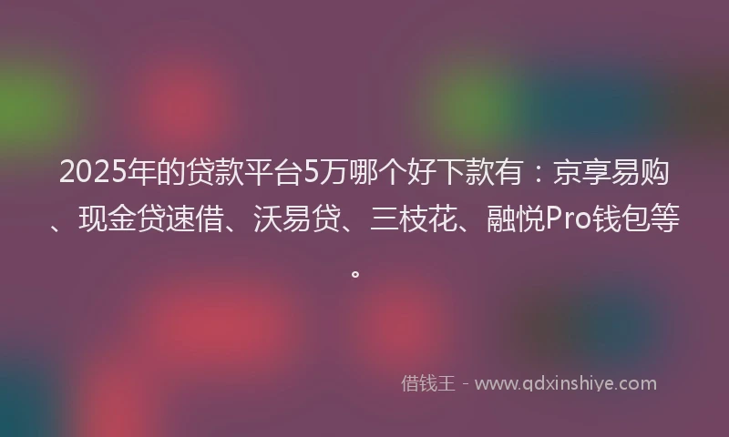 2025年的贷款平台5万哪个好下款有：京享易购、现金贷速借、沃易贷、三枝花、融悦Pro钱包等。