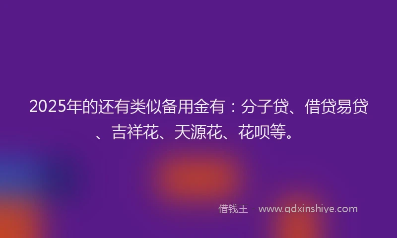 2025年的还有类似备用金有：分子贷、借贷易贷、吉祥花、天源花、花呗等。