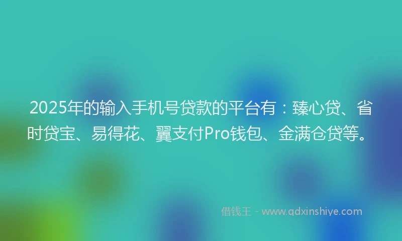 2025年的输入手机号贷款的平台有：臻心贷、省时贷宝、易得花、翼支付Pro钱包、金满仓贷等。