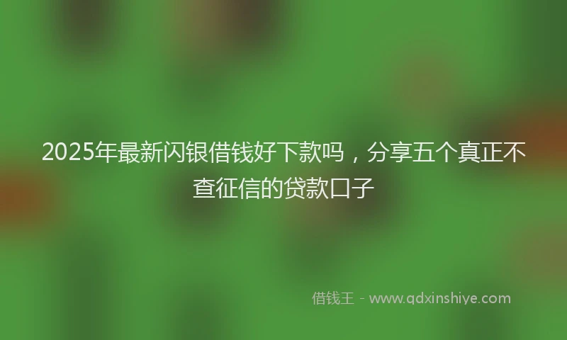 2025年最新闪银借钱好下款吗，分享五个真正不查征信的贷款口子