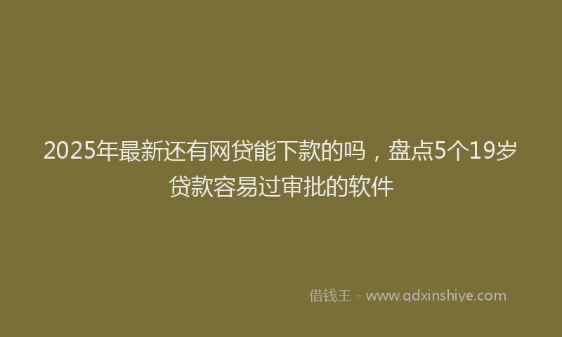 2025年最新还有网贷能下款的吗，盘点5个19岁贷款容易过审批的软件