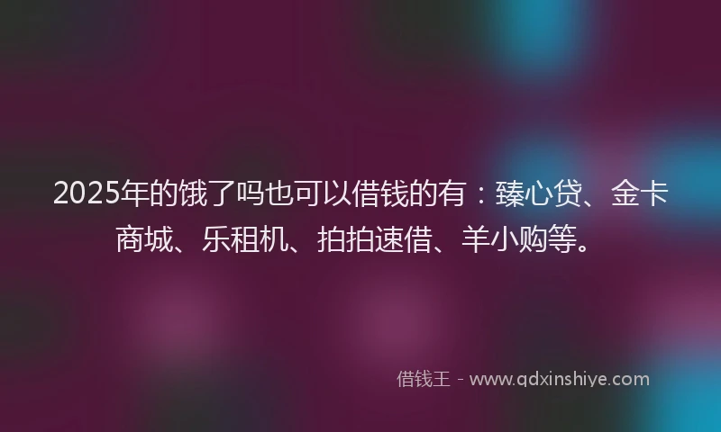 2025年的饿了吗也可以借钱的有：臻心贷、金卡商城、乐租机、拍拍速借、羊小购等。