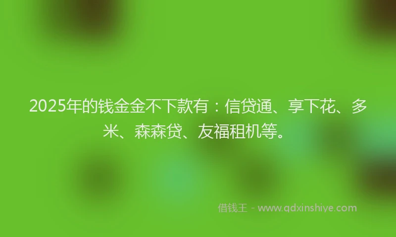 2025年的钱金金不下款有：信贷通、享下花、多米、森森贷、友福租机等。