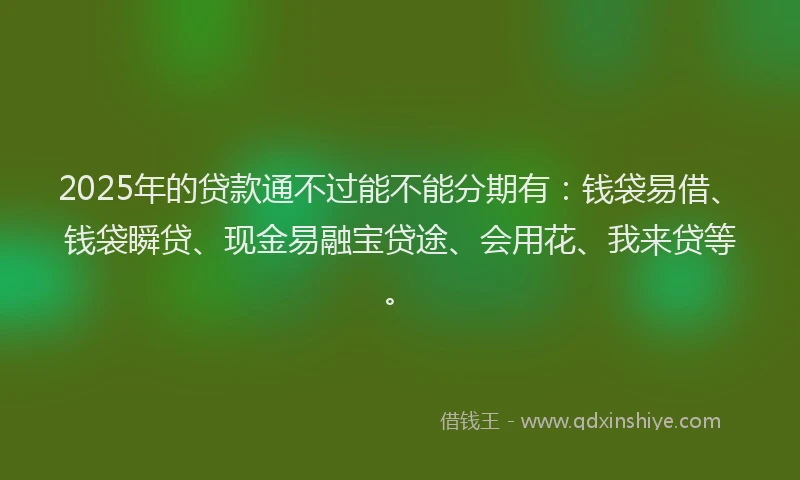 2025年的贷款通不过能不能分期有：钱袋易借、钱袋瞬贷、现金易融宝贷途、会用花、我来贷等。