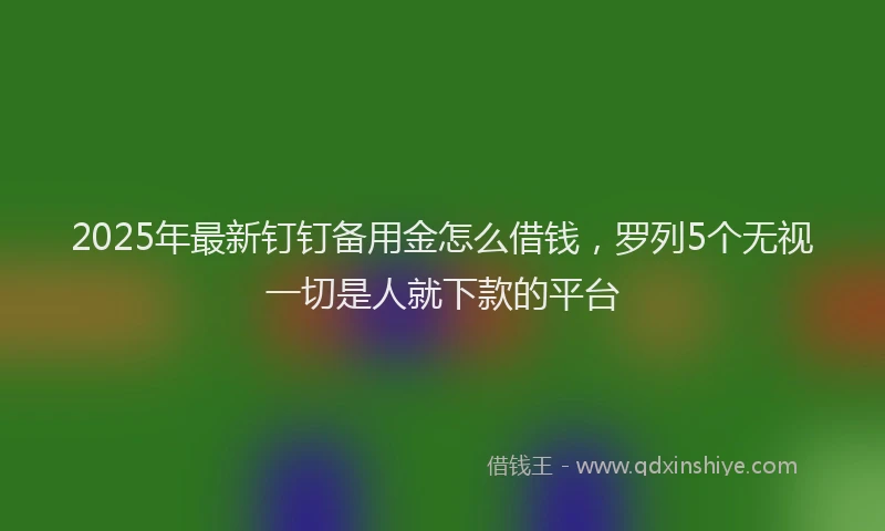 2025年最新钉钉备用金怎么借钱，罗列5个无视一切是人就下款的平台