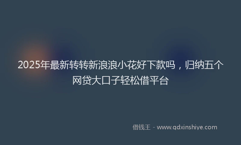 2025年最新转转新浪浪小花好下款吗，归纳五个网贷大口子轻松借平台