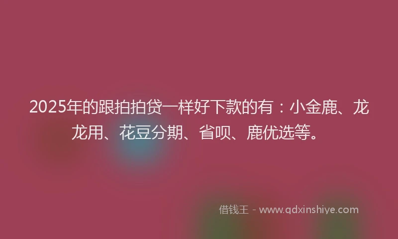 2025年的跟拍拍贷一样好下款的有：小金鹿、龙龙用、花豆分期、省呗、鹿优选等。