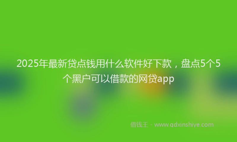 2025年最新贷点钱用什么软件好下款，盘点5个5个黑户可以借款的网贷app