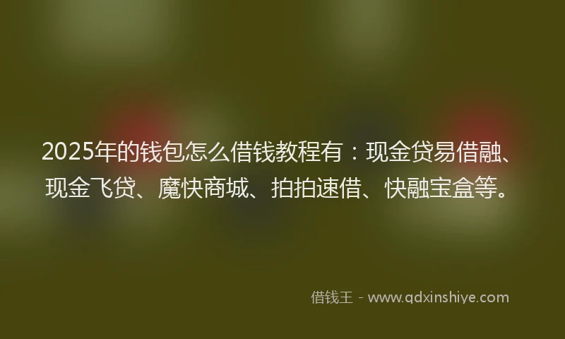 2025年的钱包怎么借钱教程有：现金贷易借融、现金飞贷、魔快商城、拍拍速借、快融宝盒等。