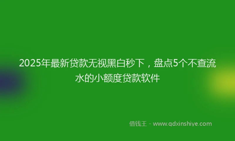 2025年最新贷款无视黑白秒下，盘点5个不查流水的小额度贷款软件