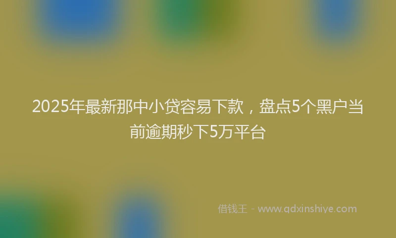 2025年最新那中小贷容易下款，盘点5个黑户当前逾期秒下5万平台