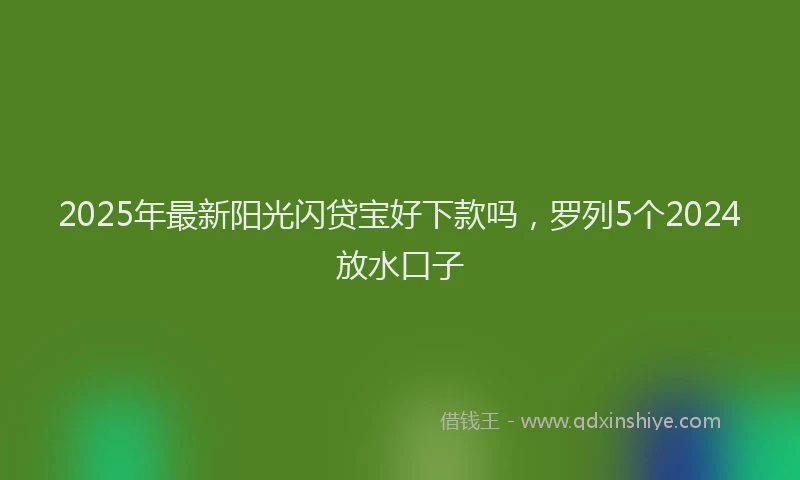 2025年最新阳光闪贷宝好下款吗，罗列5个2024放水口子
