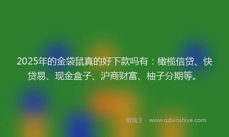 2025年的金袋鼠真的好下款吗有：橄榄信贷、快贷易、现金盒子、沪商财富、柚子分期等。