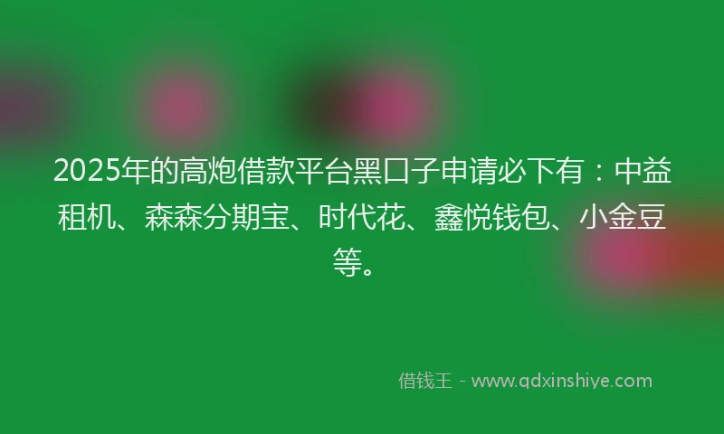 2025年的高炮借款平台黑口子申请必下有：中益租机、森森分期宝、时代花、鑫悦钱包、小金豆等。