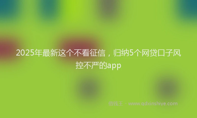 2025年最新这个不看征信，归纳5个网贷口子风控不严的app