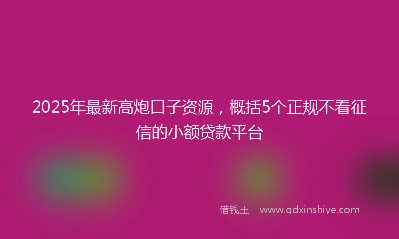 2025年最新高炮口子资源，概括5个正规不看征信的小额贷款平台