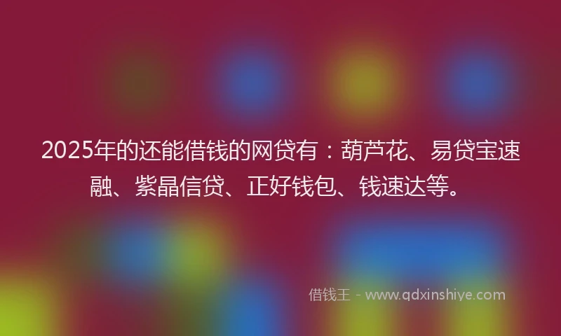 2025年的还能借钱的网贷有：葫芦花、易贷宝速融、紫晶信贷、正好钱包、钱速达等。