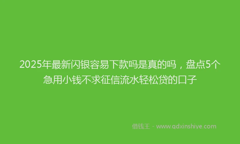 2025年最新闪银容易下款吗是真的吗，盘点5个急用小钱不求征信流水轻松贷的口子