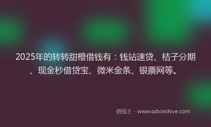 2025年的转转甜橙借钱有：钱站速贷、桔子分期、现金秒借贷宝、微米金条、银票网等。