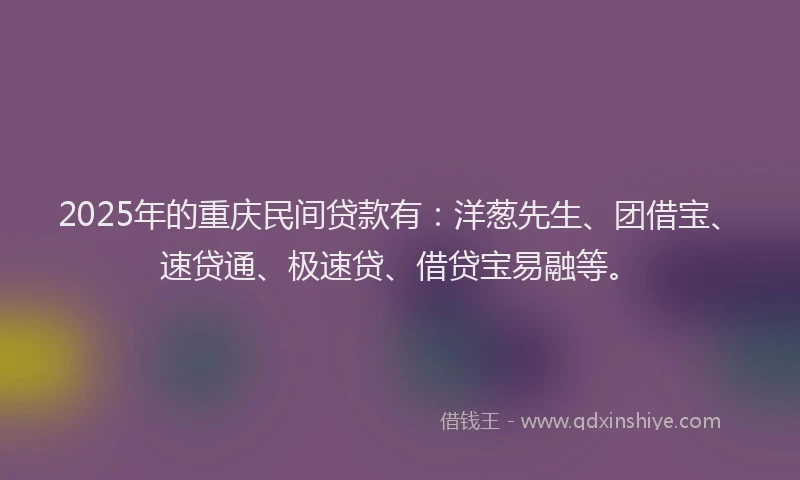 2025年的重庆民间贷款有：洋葱先生、团借宝、速贷通、极速贷、借贷宝易融等。