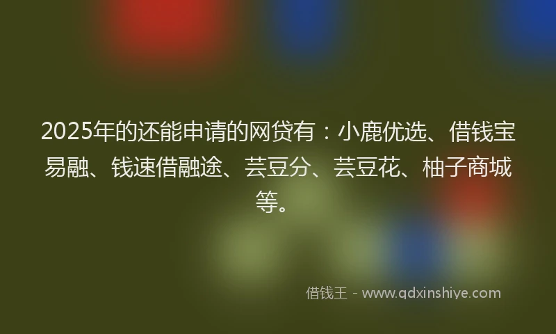 2025年的还能申请的网贷有：小鹿优选、借钱宝易融、钱速借融途、芸豆分、芸豆花、柚子商城等。