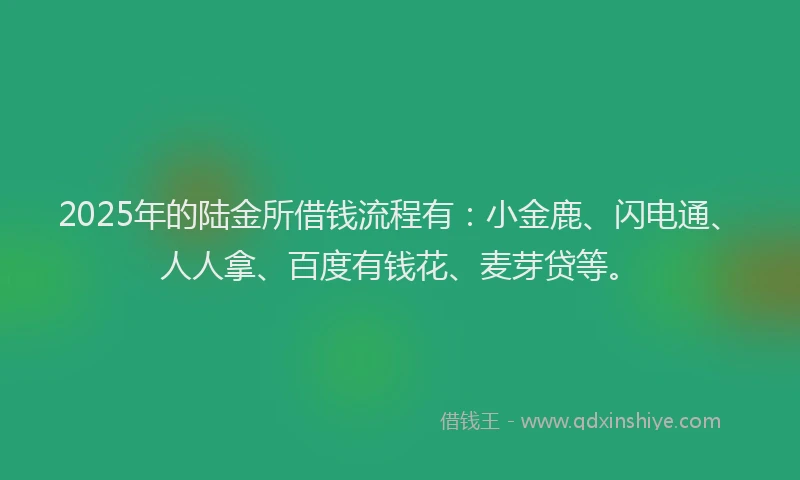 2025年的陆金所借钱流程有：小金鹿、闪电通、人人拿、百度有钱花、麦芽贷等。