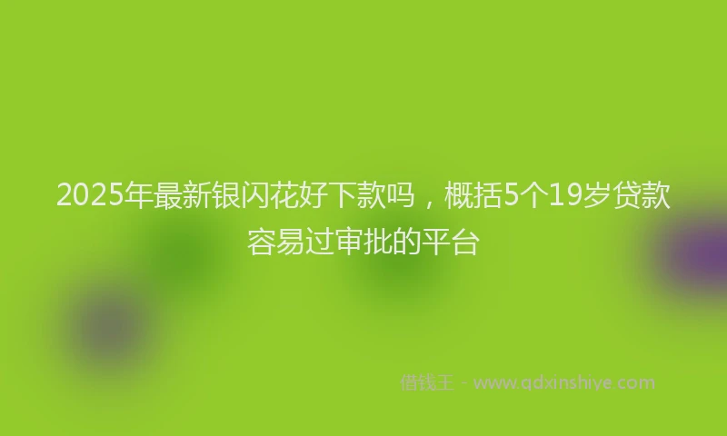 2025年最新银闪花好下款吗，概括5个19岁贷款容易过审批的平台