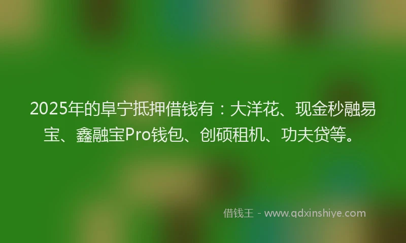 2025年的阜宁抵押借钱有：大洋花、现金秒融易宝、鑫融宝Pro钱包、创硕租机、功夫贷等。