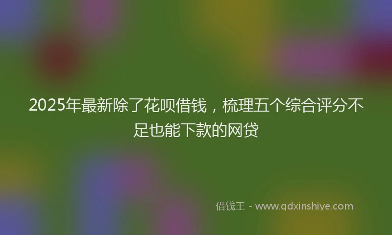 2025年最新除了花呗借钱，梳理五个综合评分不足也能下款的网贷