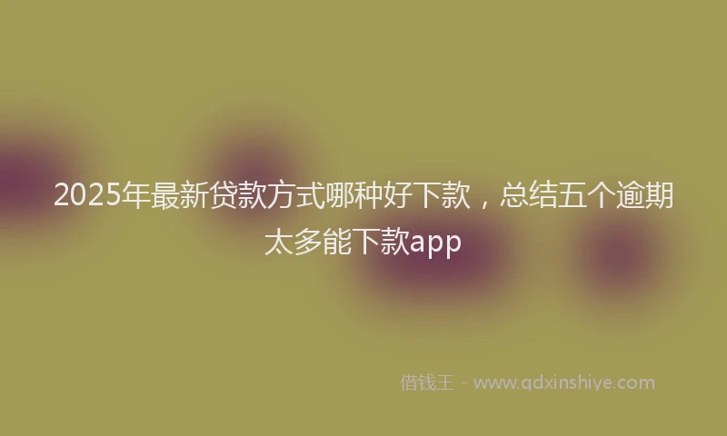2025年最新贷款方式哪种好下款,总结五个逾期太多能下款app
