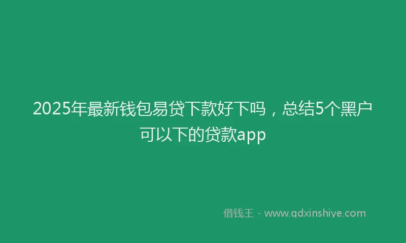 2025年最新钱包易贷下款好下吗，总结5个黑户可以下的贷款app