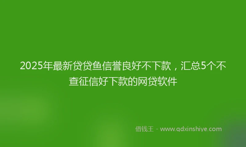 2025年最新贷贷鱼信誉良好不下款，汇总5个不查征信好下款的网贷软件