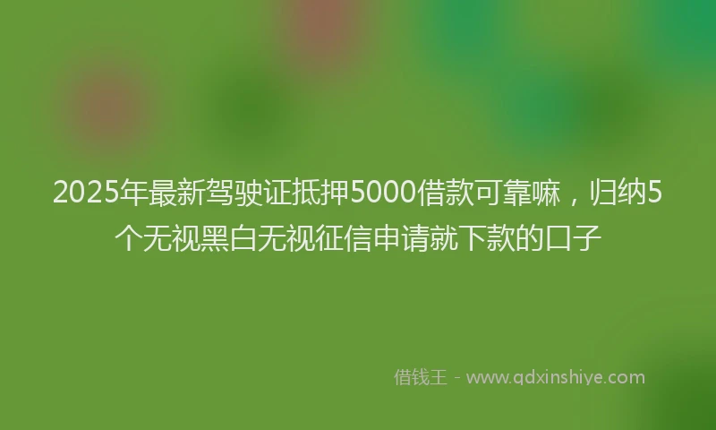 2025年最新驾驶证抵押5000借款可靠嘛，归纳5个无视黑白无视征信申请就下款的口子