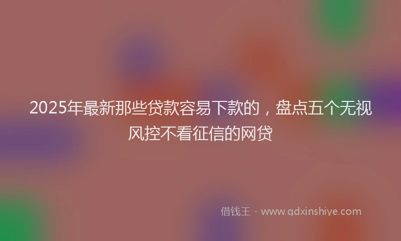 2025年最新那些贷款容易下款的，盘点五个无视风控不看征信的网贷