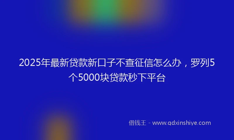 2025年最新贷款新口子不查征信怎么办，罗列5个5000块贷款秒下平台
