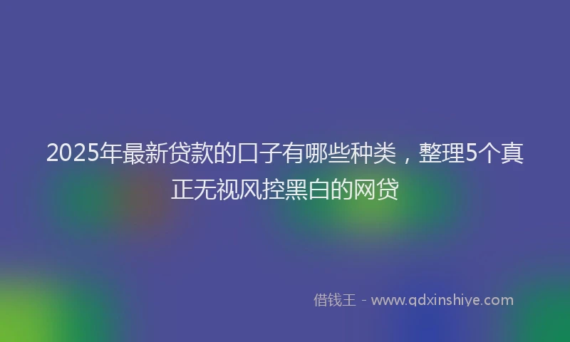 2025年最新贷款的口子有哪些种类，整理5个真正无视风控黑白的网贷