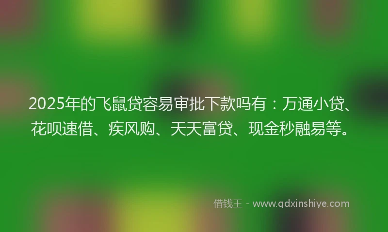 2025年的飞鼠贷容易审批下款吗有：万通小贷、花呗速借、疾风购、天天富贷、现金秒融易等。