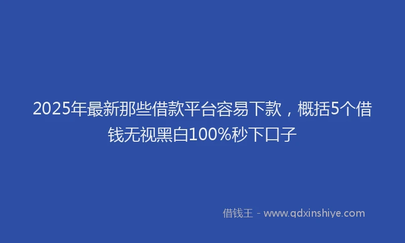 2025年最新那些借款平台容易下款，概括5个借钱无视黑白100%秒下口子