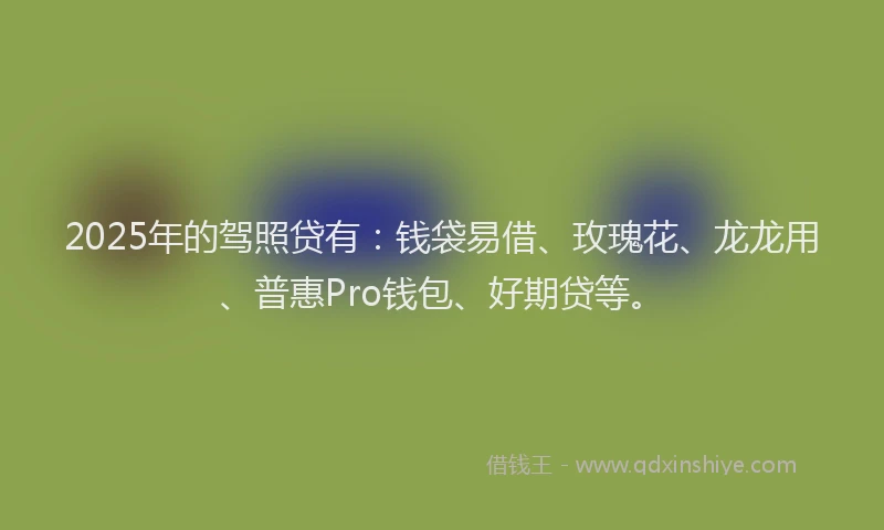 2025年的驾照贷有：钱袋易借、玫瑰花、龙龙用、普惠Pro钱包、好期贷等。